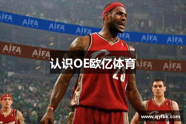 认识OE欧亿体育